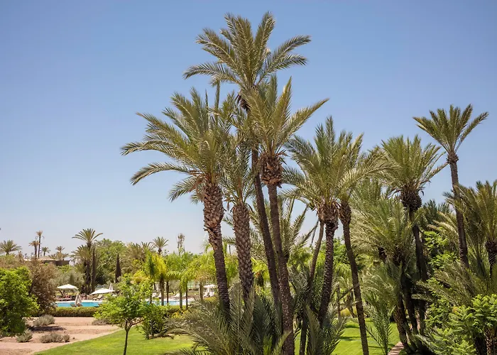 Barcelo Palmeraie Oasis Resort (Adults Only)